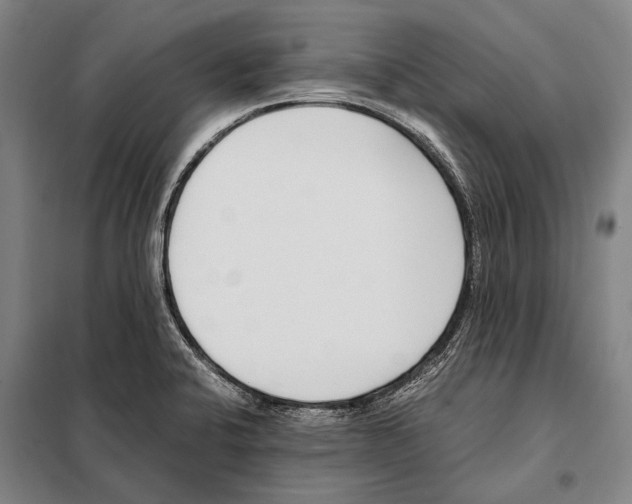 X0000097981424200804211026