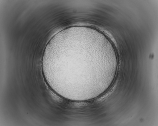 X0000097981425200804211026