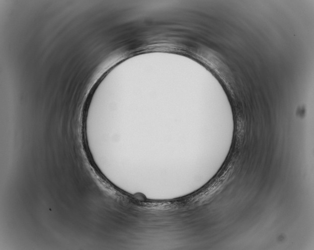 X0000097981426200804211026