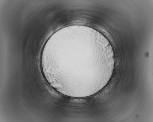 X0000097981427200804211026