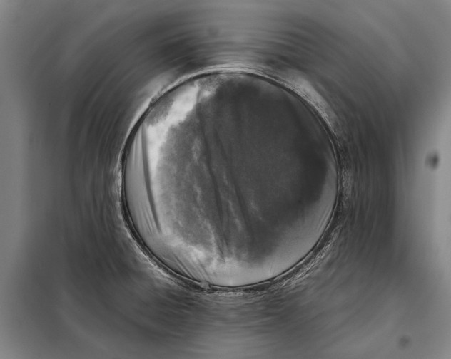 X0000097981428200804211026