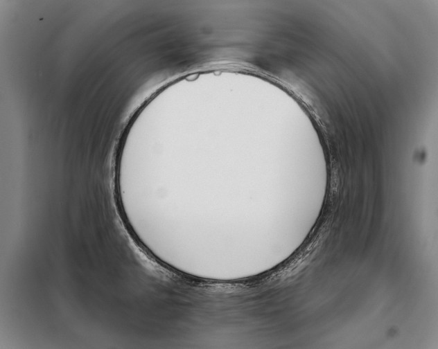 X0000097981430200804211026