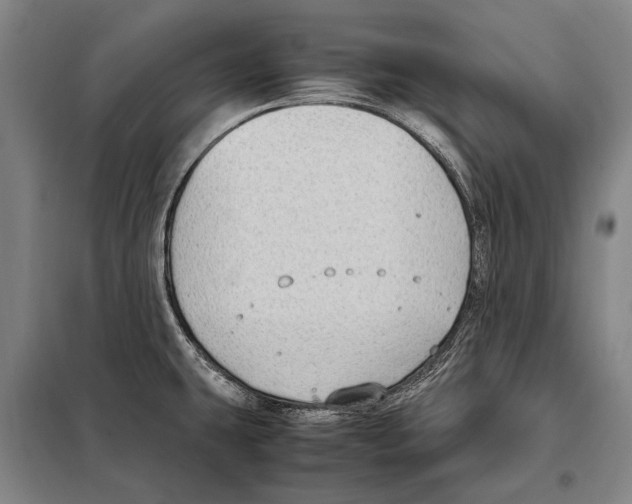 X0000097981431200804211026