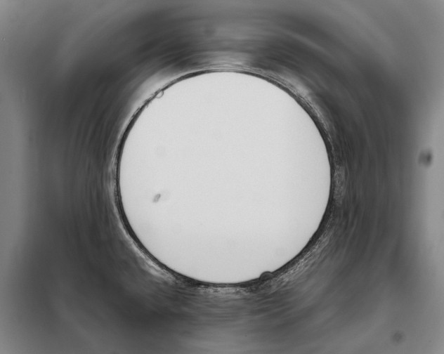 X0000097981432200804211026