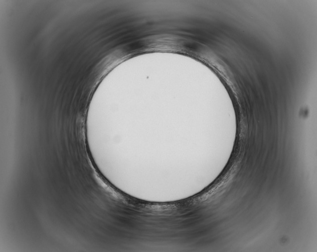 X0000097981433200804211026