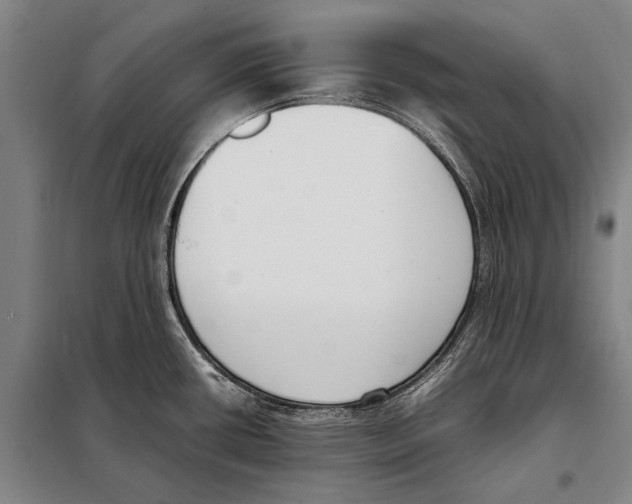 X0000097981434200804211026