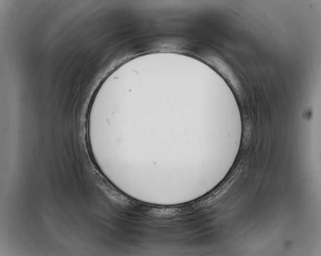 X0000097981435200804211026