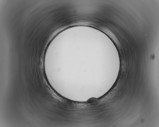 X0000097981436200804211026