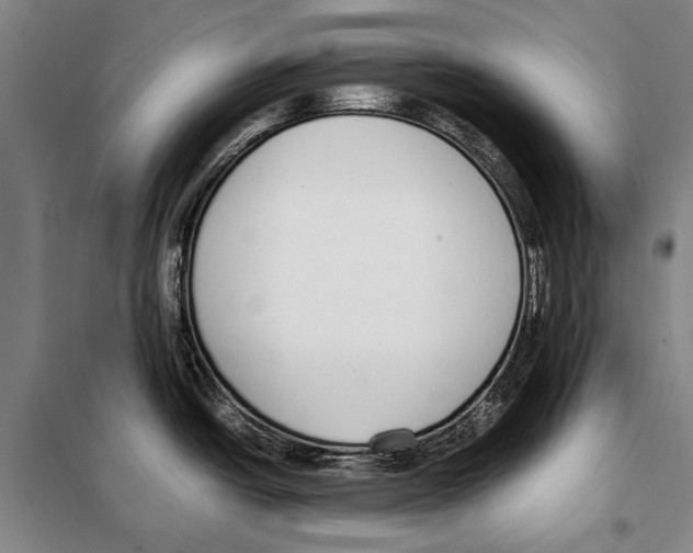 X0000097981438200804211026