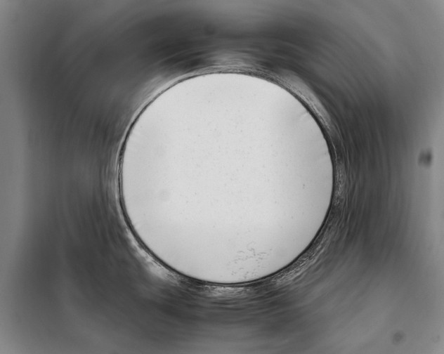 X0000097981439200804211026