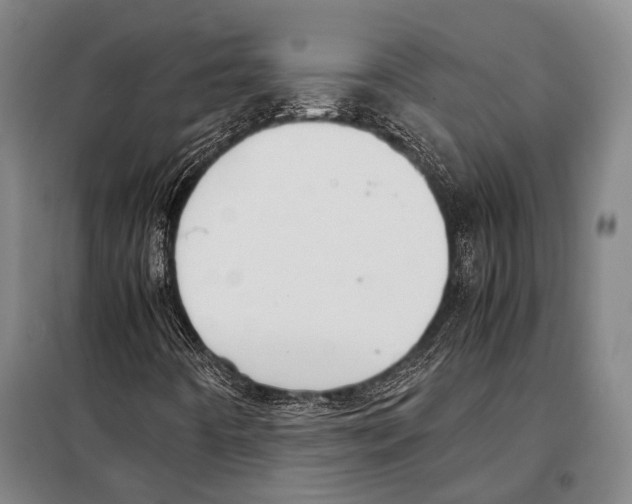 X0000097981442200804211026