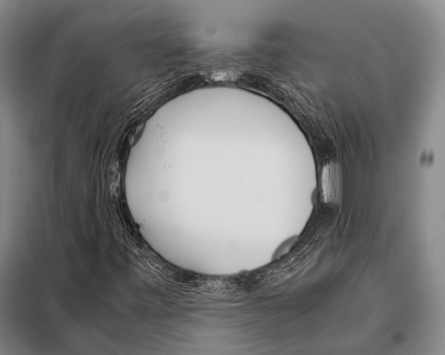 X0000097981443200804211026