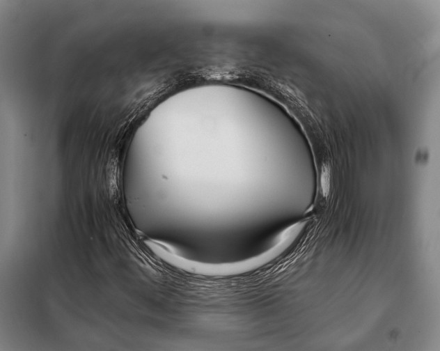 X0000097981444200804211026