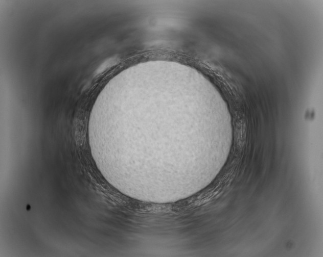 X0000097981446200804211026