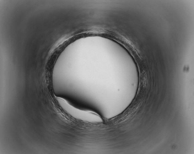 X0000097981448200804211026