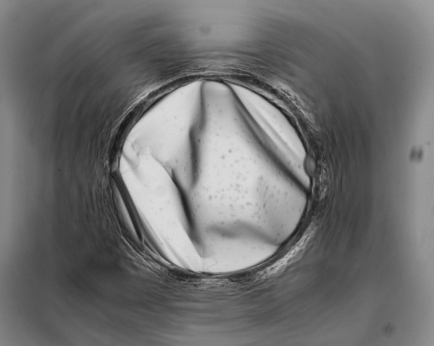 X0000097981449200804211025