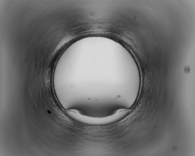 X0000097981450200804211025