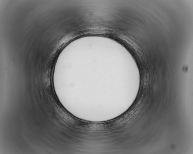 X0000097981451200804211025