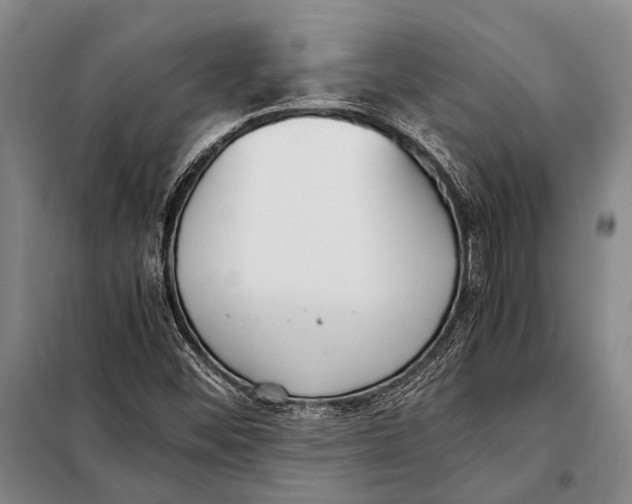 X0000097981452200804211025