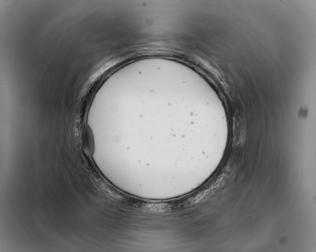 X0000097981453200804211025