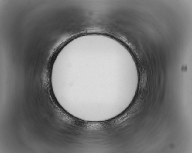 X0000097981454200804211025