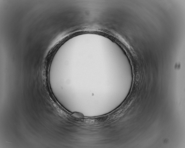 X0000097981456200804211025