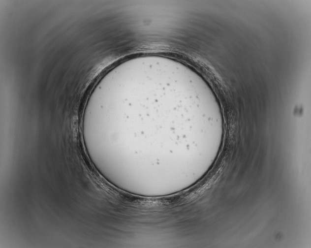 X0000097981457200804211025