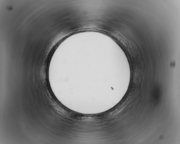 X0000097981458200804211025