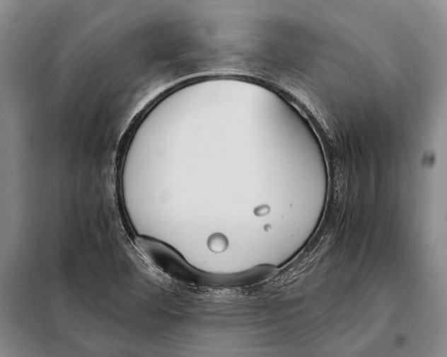 X0000097981460200804211025