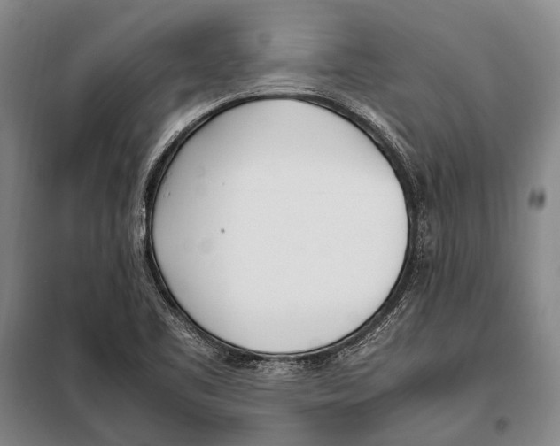 X0000097981461200804211025