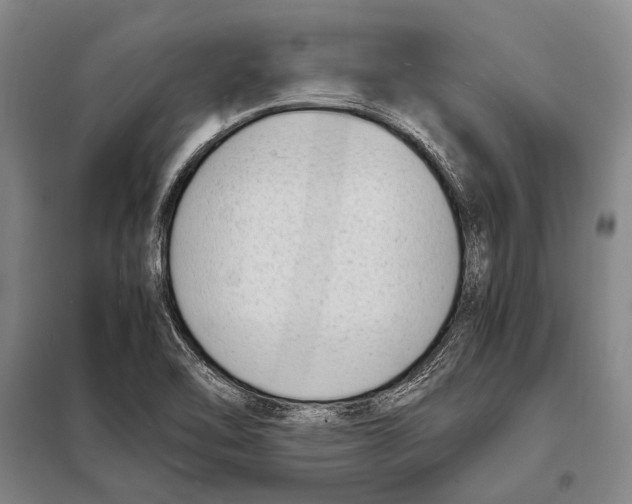 X0000097981462200804211025