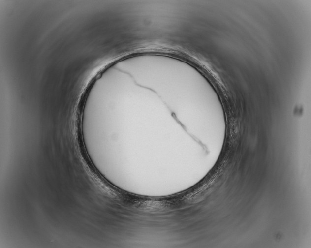 X0000097981463200804211025