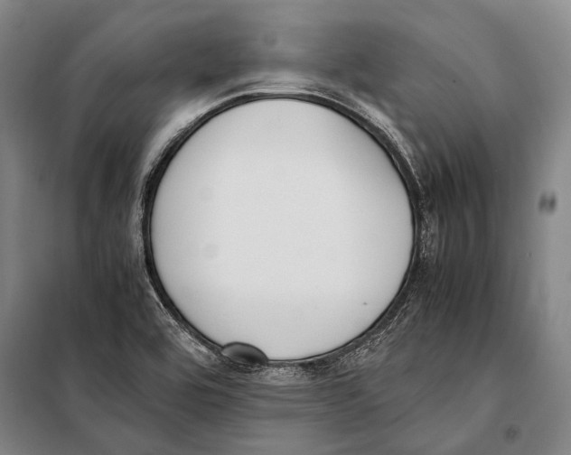 X0000097981464200804211025