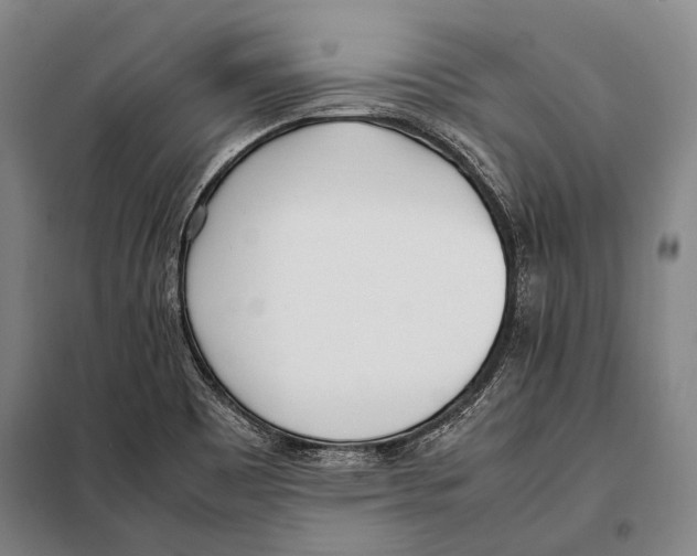 X0000097981465200804211025