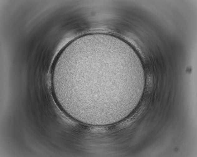 X0000097981466200804211025