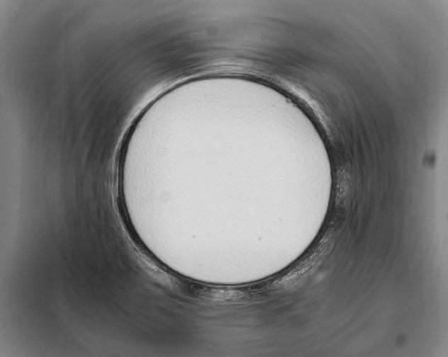 X0000097981467200804211025