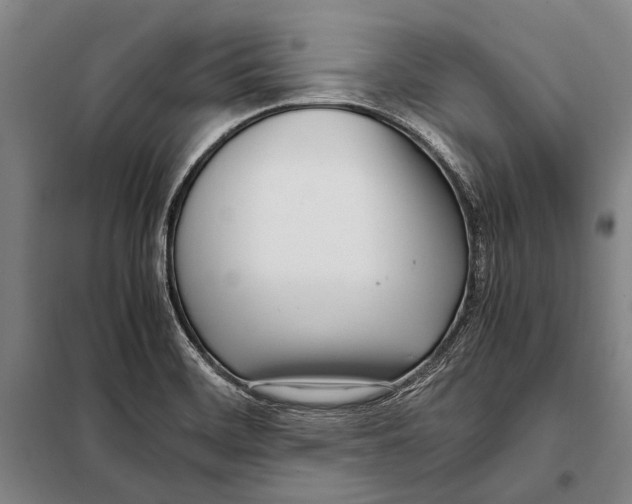 X0000097981468200804211025