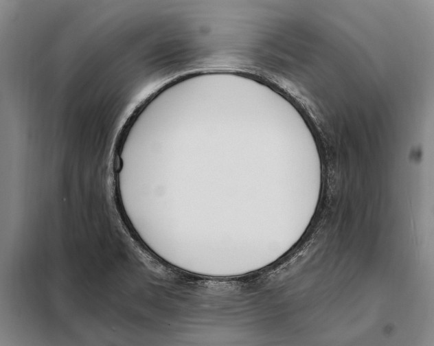 X0000097981469200804211025