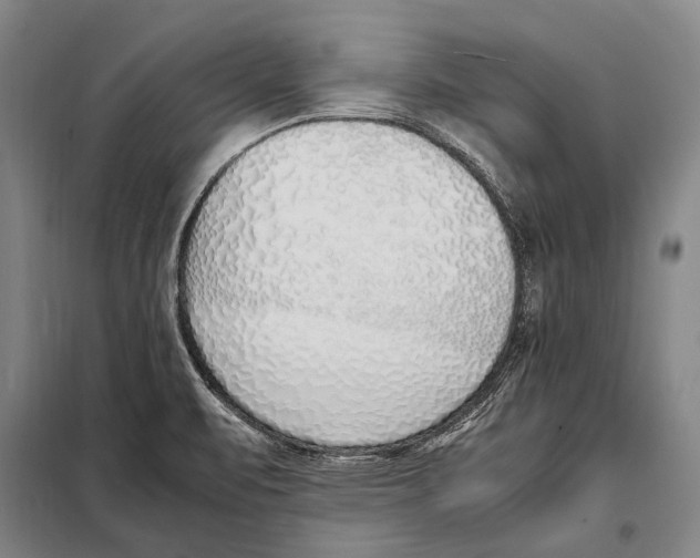 X0000097981471200804211025