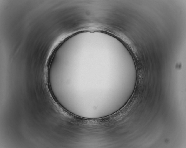 X0000097981472200804211025