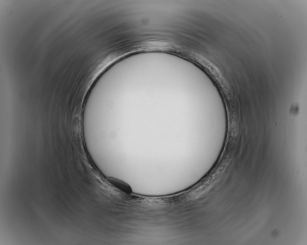 X0000097981473200804211025