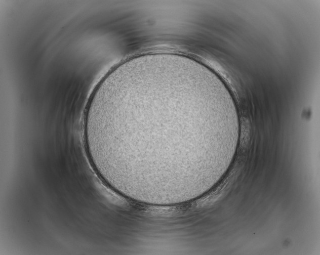 X0000097981474200804211025