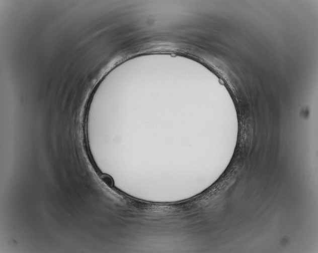 X0000097981475200804211025