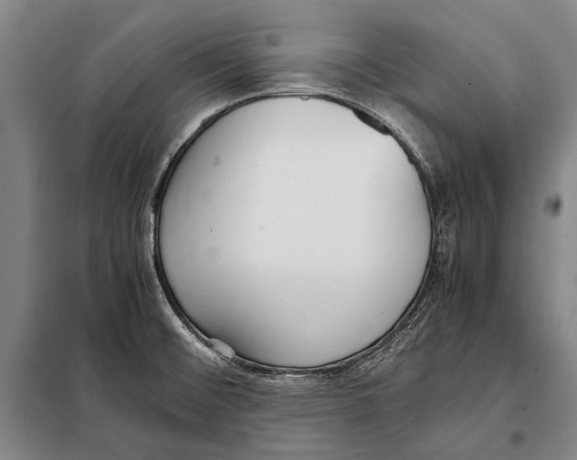 X0000097981476200804211025