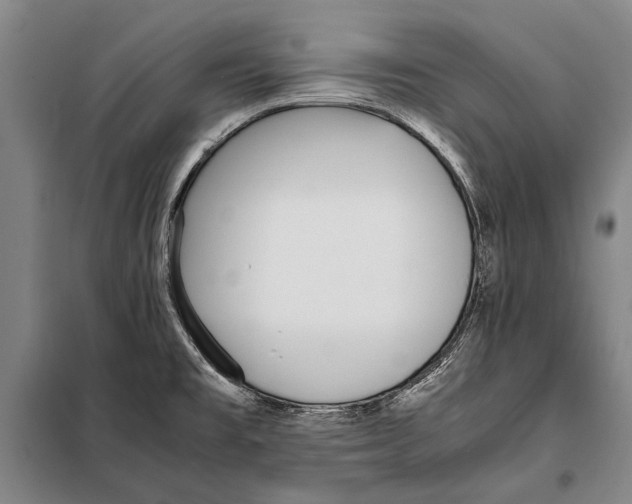 X0000097981477200804211025