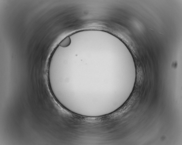 X0000097981478200804211025