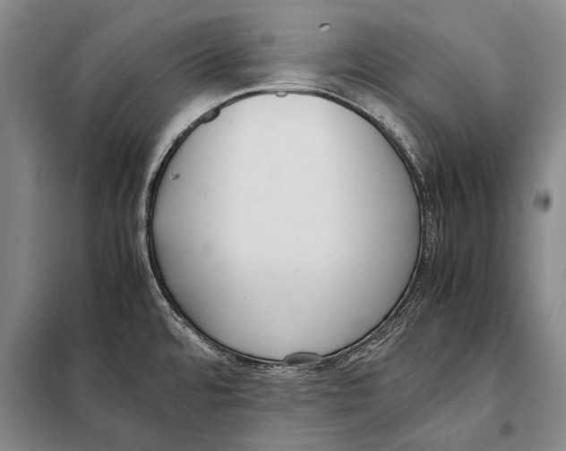 X0000097981480200804211025