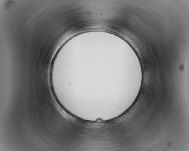 X0000097981482200804211025