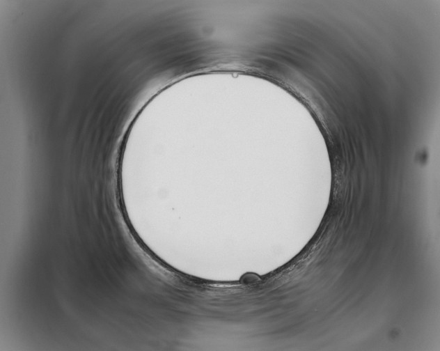 X0000097981483200804211025