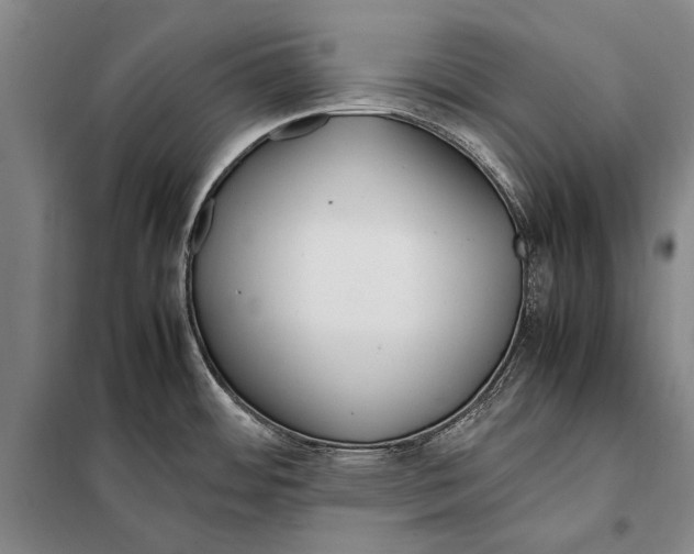 X0000097981484200804211025